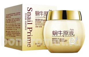     Snail Prime From Nature