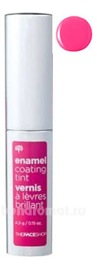    Enamel Coating Tint 4,5