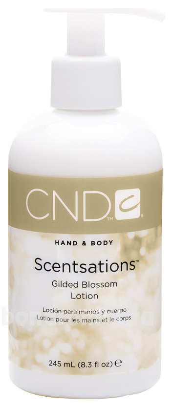      Scentsations Gilded Blossom Lotion