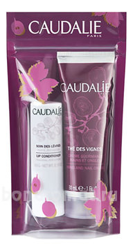    The Des Vignes ( /     4,5)