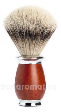   Classic Purist (    Silvertip)