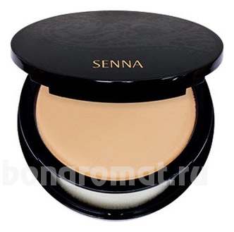   Secret Mineral Mix Powder 9,5