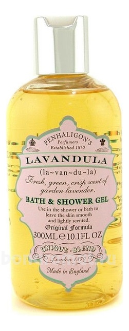 Lavandula