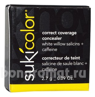    Color Correct Coverage Concealer 2,7