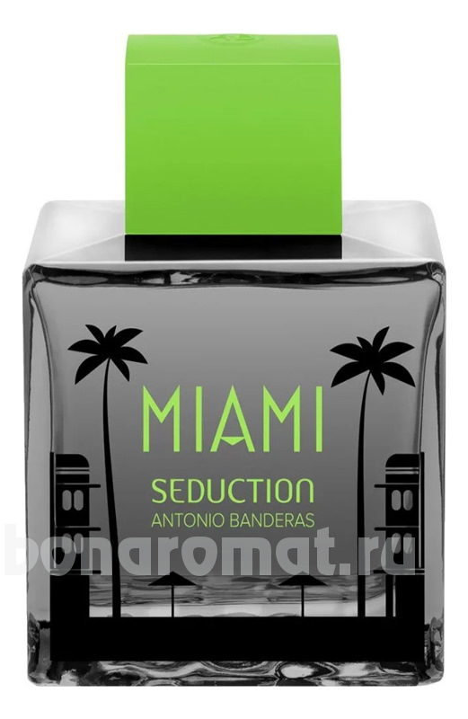 Miami Seduction In Black