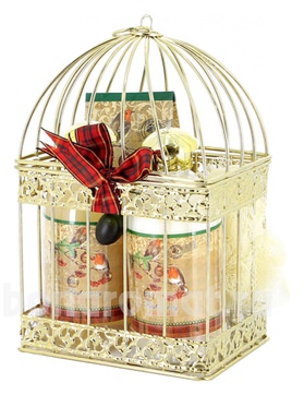  Winter Garden ( /  /  / 50 -) 