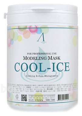        Cool-Ice Modeling Mask