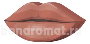     Perfect Lip Kit Bare Beauty ( Perfect Moisture No200 +  Perfect Lipliner No200 +  Glossy Lip Treat No51)