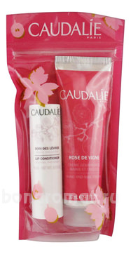    ( /   Rose De Vigne +   4,5)