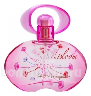 Incanto Bloom New Edition