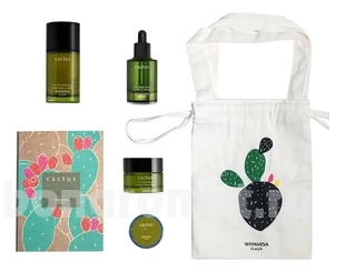    Cactus (- +  60 +  + -)