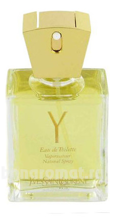 YSL Y Woman