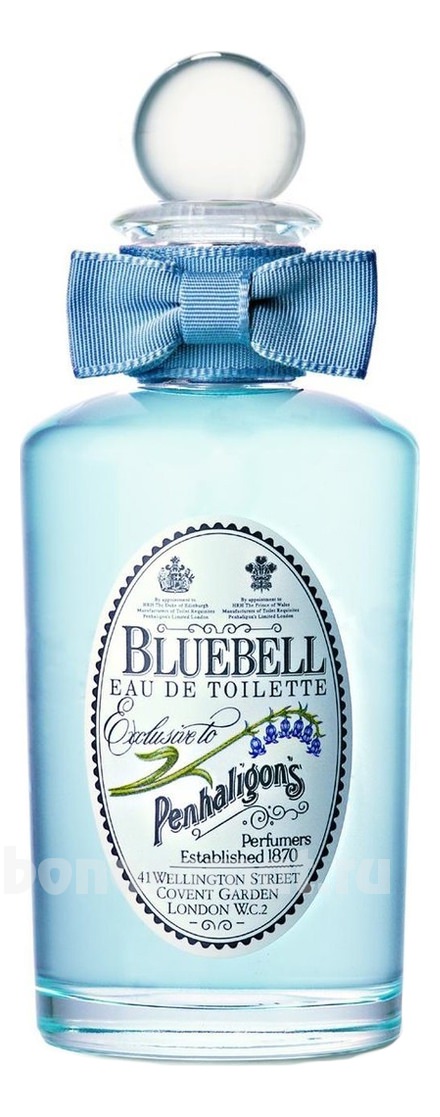 Bluebell