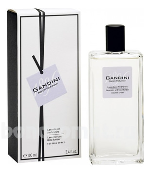 Lavander & Gold Amber