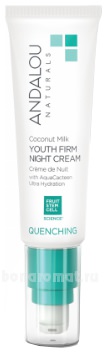         Quenching Coconut Milk Youth Firm Night Cream