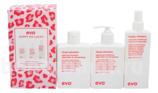    Happy Go Lucky Repair ( +  +   200)