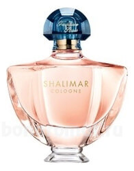 Shalimar Cologne