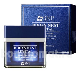          Bird&#39;s Nest Revital Recovery Cream