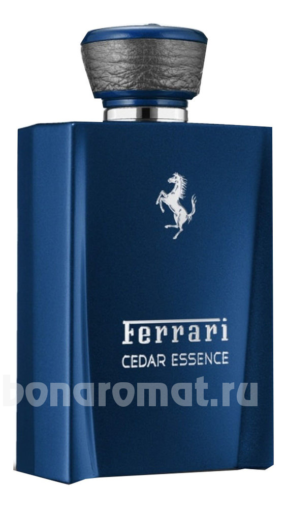 Cedar Essence