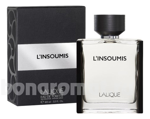 L&#39;Insoumis