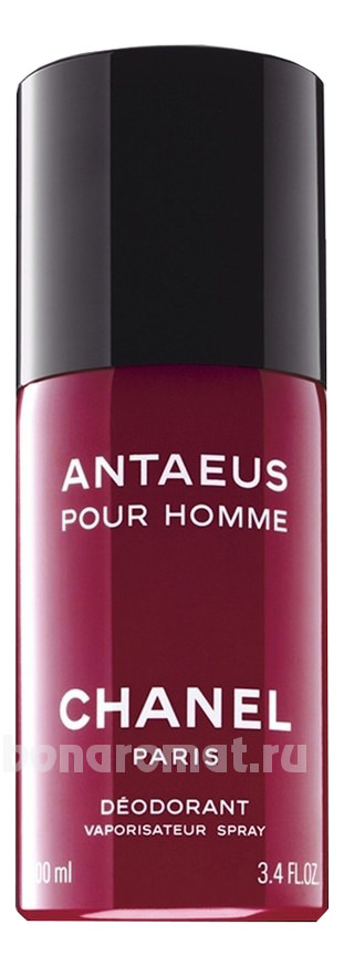 Antaeus 