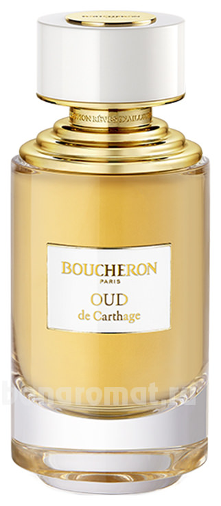 Oud De Carthage