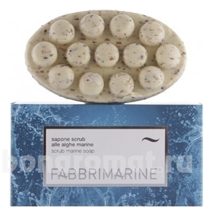 -       Sapone Scrub Alle Alghe Marine