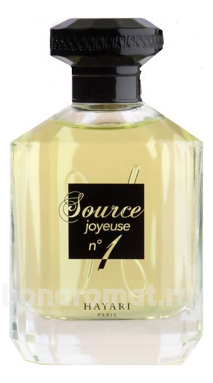 Source Joyeuse No1