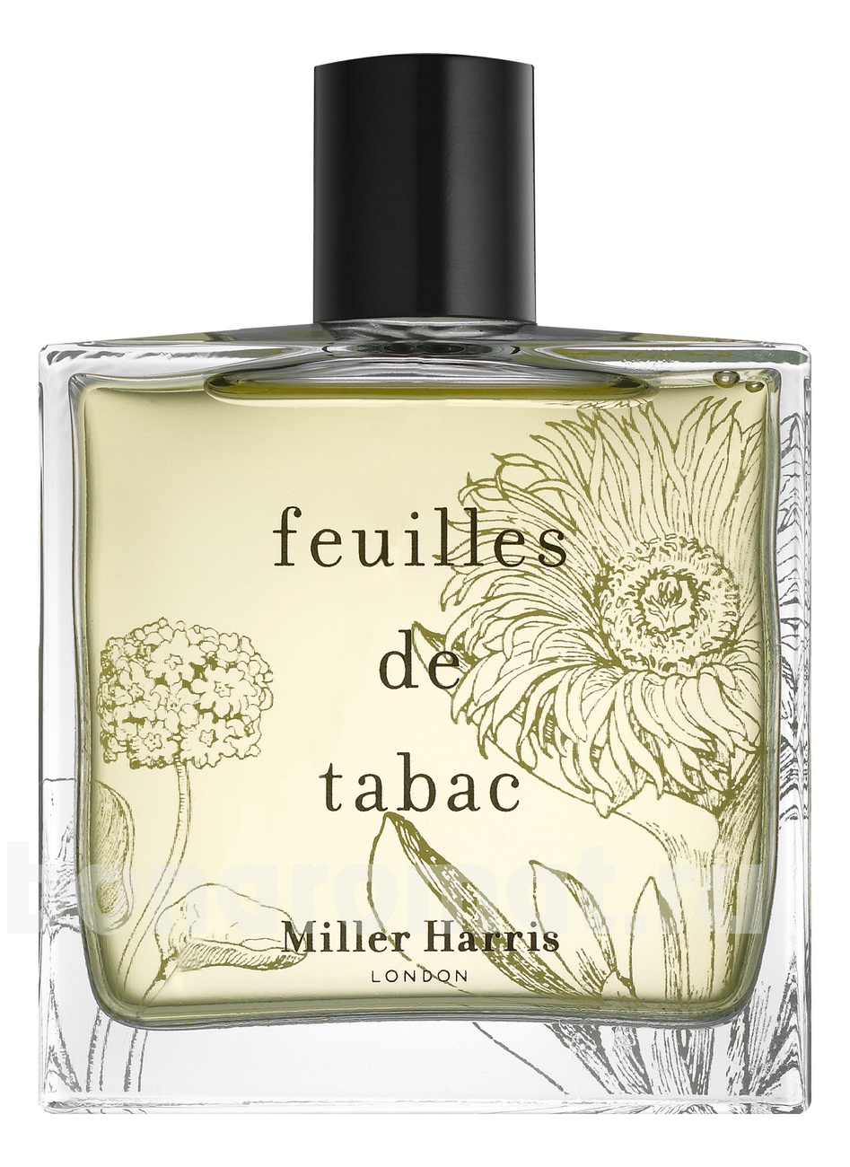 Feuilles De Tabac