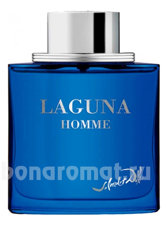 Laguna Homme