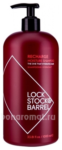     Recharge Moisture Shampoo