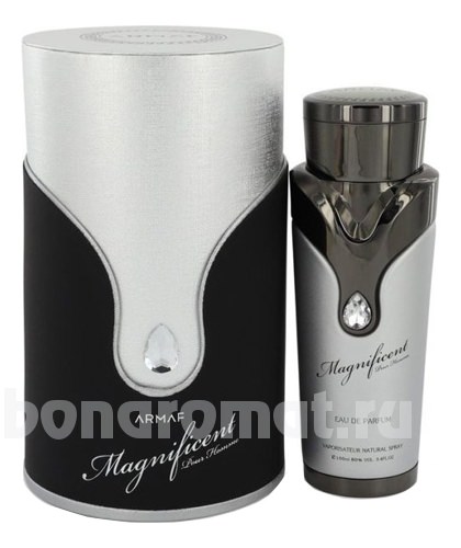 Magnificent Pour Homme