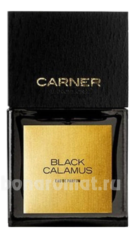 Black Calamus