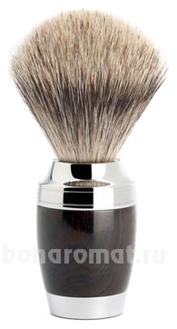     Modern Stylo (   Fine)