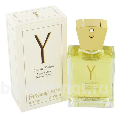 YSL Y Woman