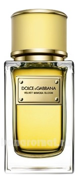 Dolce Gabbana (D&G) Velvet Mimosa Bloom