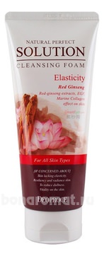        Natural Perfect Solution Cleansing Foam Elasticity