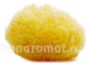     Natural Sponges