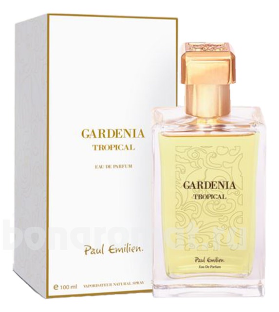 Gardenia Tropical