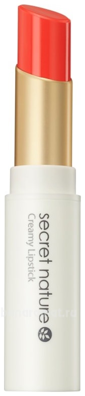    Creamy Lipstick 5,5