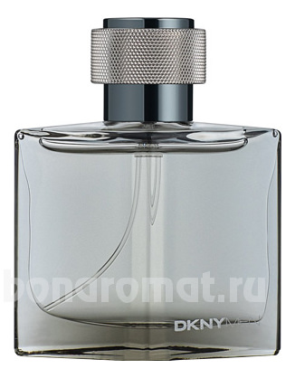 DKNY Men 2009 (Silver)