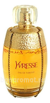 YSL Yvresse Legere