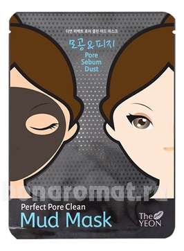          Perfect Pore Clean Mud Mask