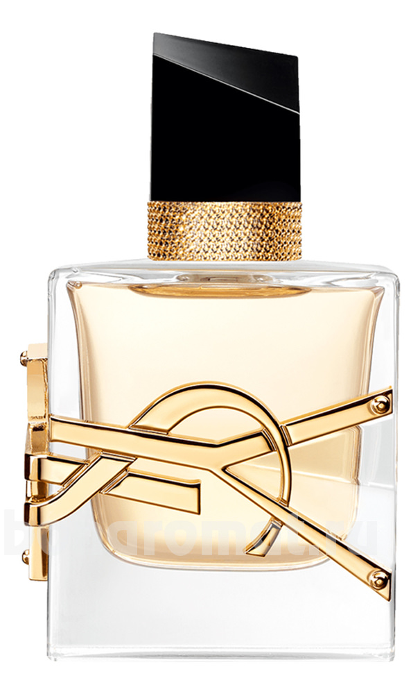 YSL Libre