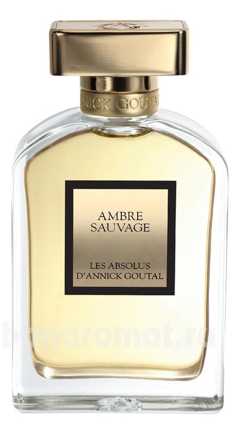 Les Absolus Ambre Sauvage