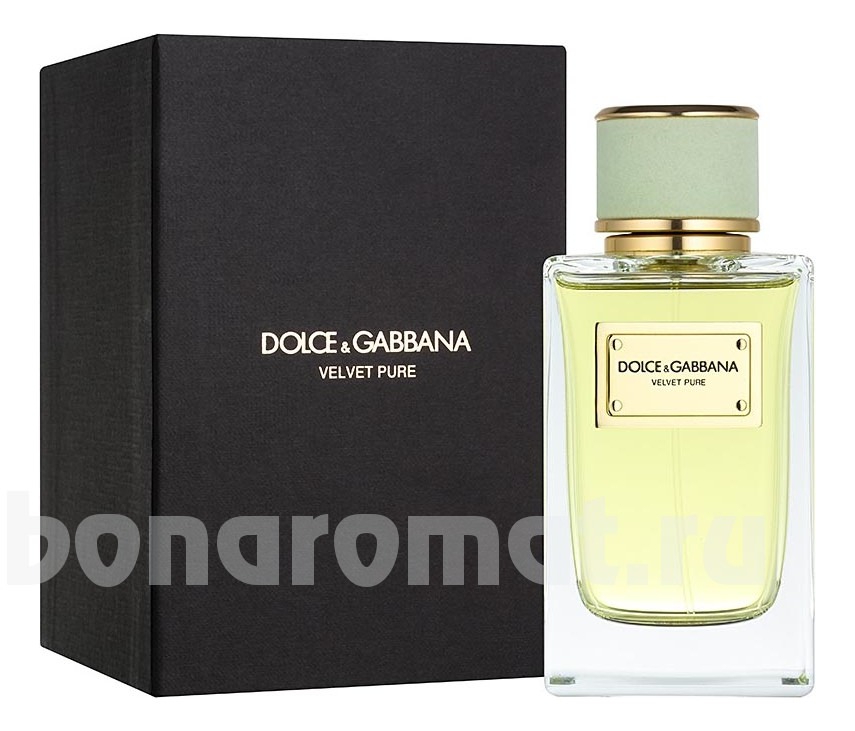 Dolce Gabbana (D&G) Velvet Pure