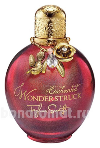 Wonderstruck Enchanted