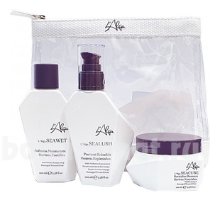         Beauty Bag ( +   +  )