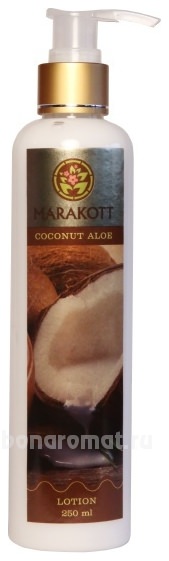          Coconut Aloe Lotion