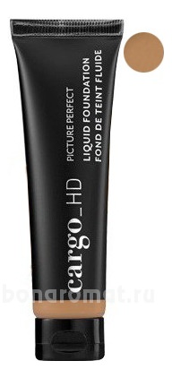   HD Picture Perfect Liquid Foundation